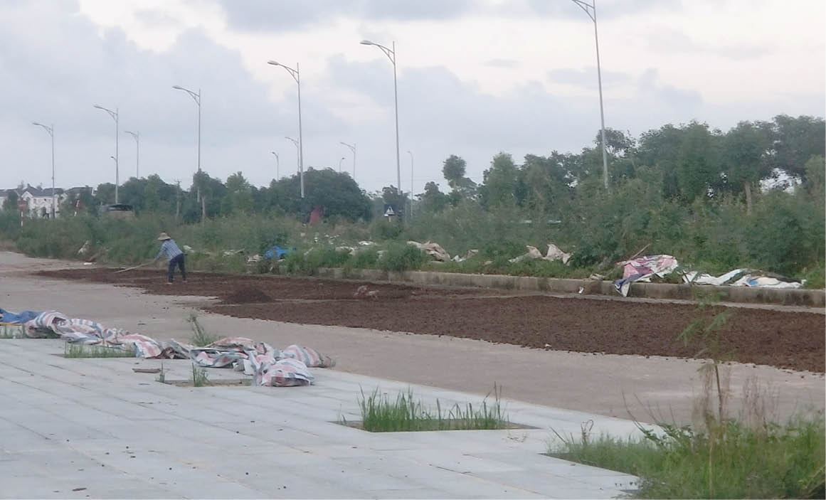 Đô thị mới cũng hôi… phân bò