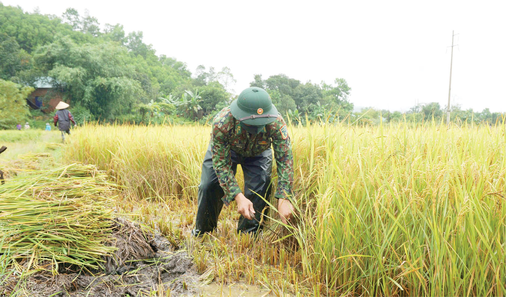 Nghĩa tình quân dân vùng cao