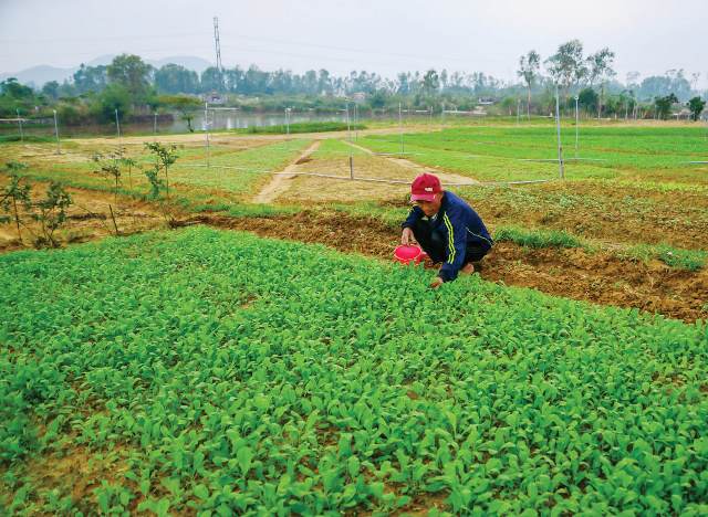 Lãi ròng mới là quan trọng