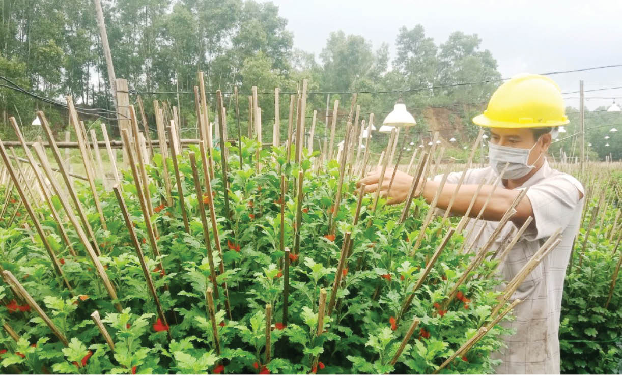 “Lối rẽ” của Trương Hữu Tài