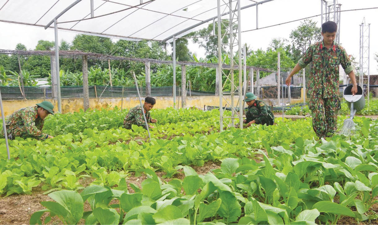 Tăng gia sản xuất trong tình hình dịch bệnh