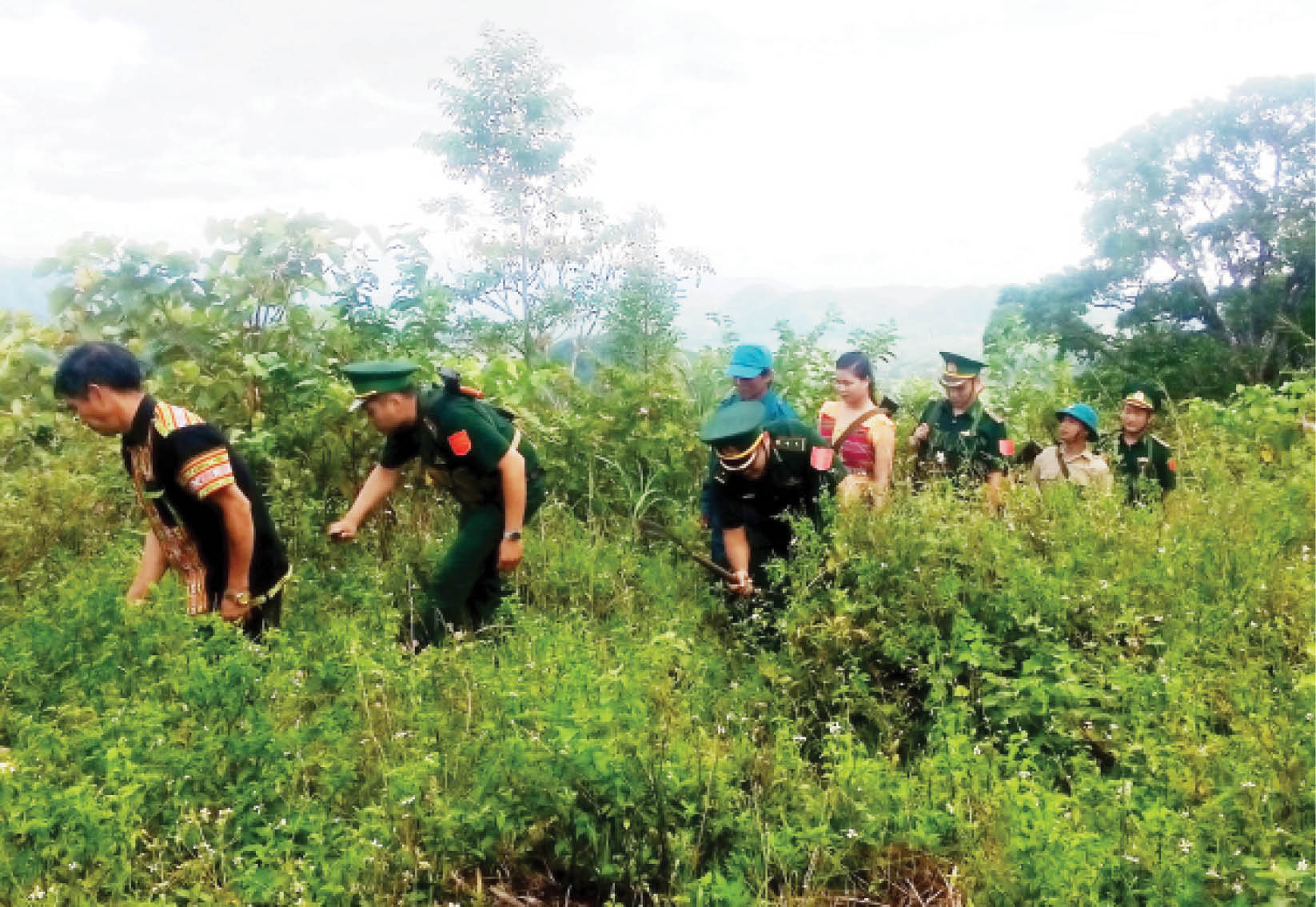Vai trò tổ tự quản trong phong trào bảo vệ biên giới