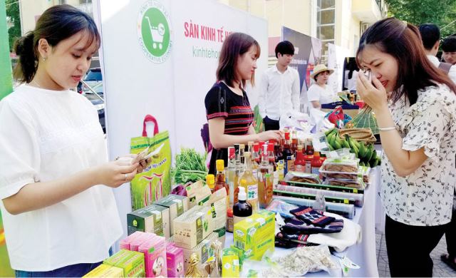 Khi hợp tác xã ứng dụng khoa học, công nghệ