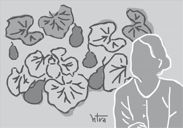 Vạt bầu của mẹ
