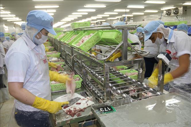 Hỗ trợ thực tế nhất cho doanh nghiệp vẫn là chính sách tốt