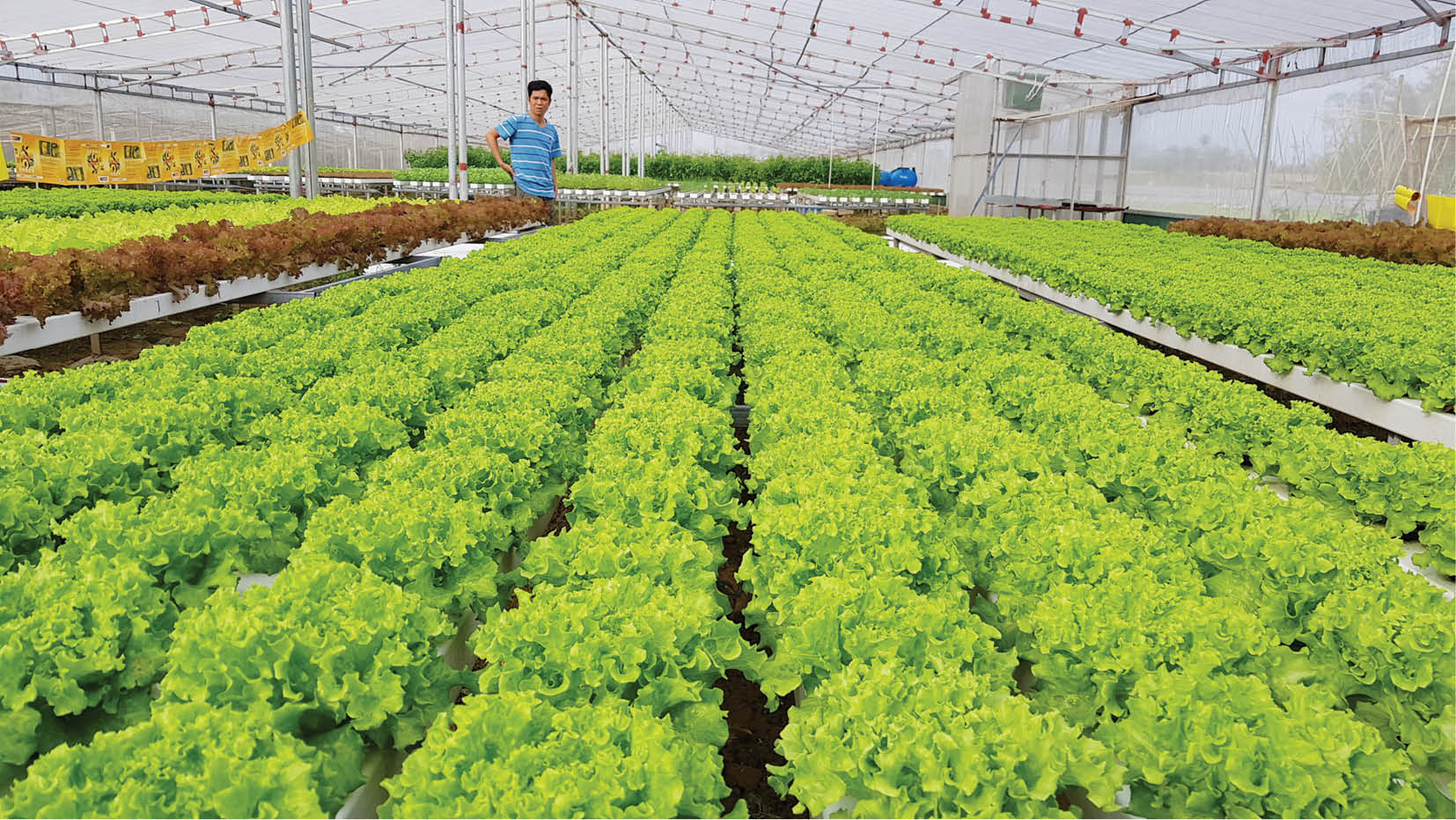 Phát triển nguồn nhân lực cho thành phố trực thuộc Trung ương - kỳ 3 Cần có chiến lược về đào tạo nguồn nhân lực