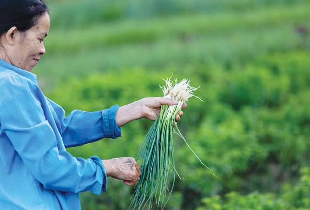 Muốn thực hành nông nghiệp tốt