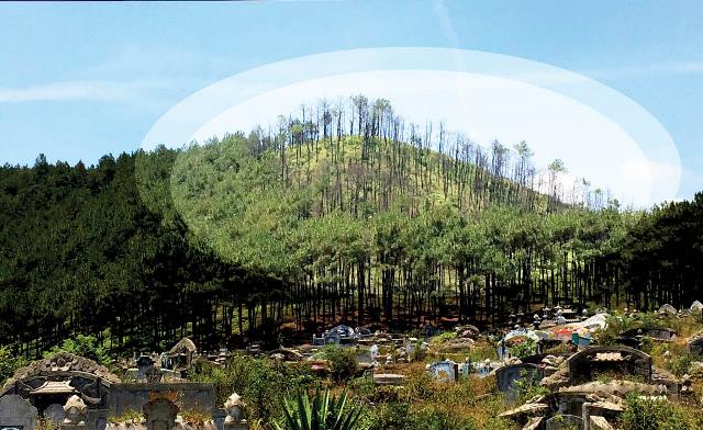 Quá nhiều, quá nguy hiểm