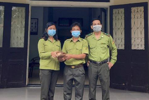 Thả cá thể rùa quý hiếm về môi trường tự nhiên