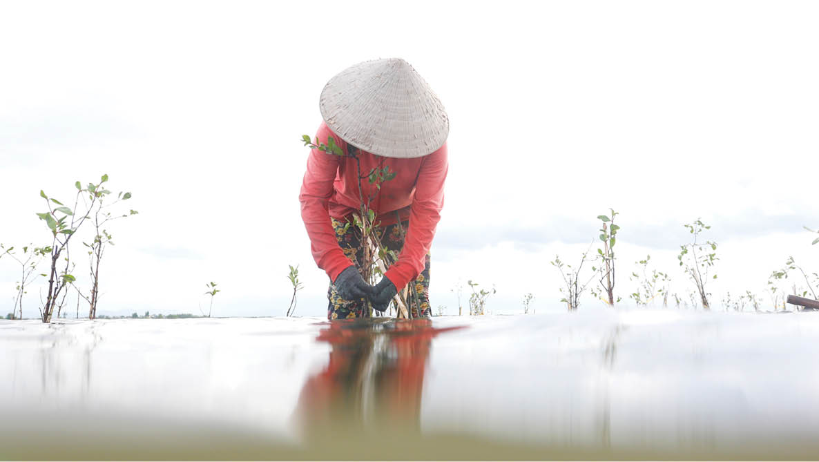 Bảo vệ “tài nguyên” trù phú của vùng đất ngập nước