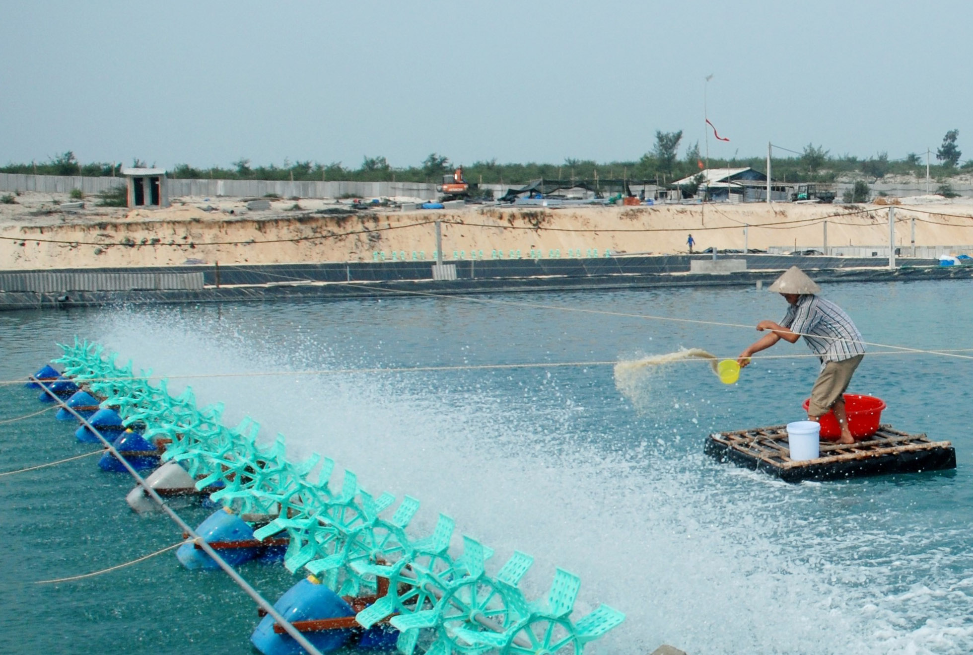 Bảo vệ tôm nuôi ven biển trước bão số 9