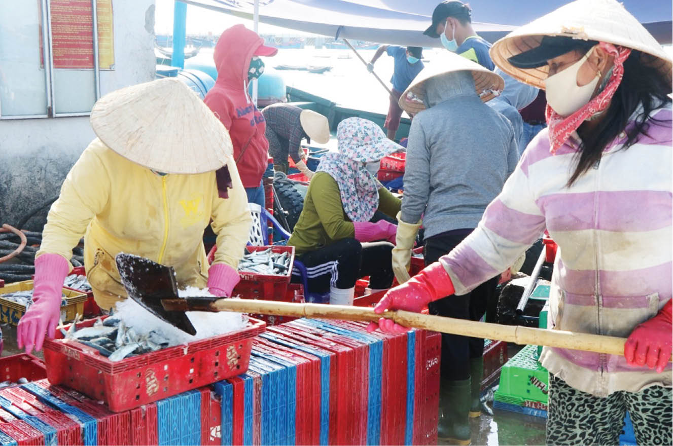 Thu hút tàu về bến