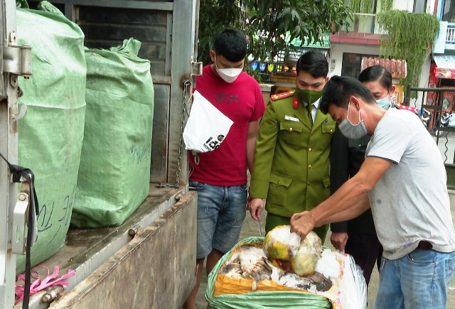 Bắt giữ ô tô vận chuyển hơn 1 tấn nội tạng không rõ nguồn gốc