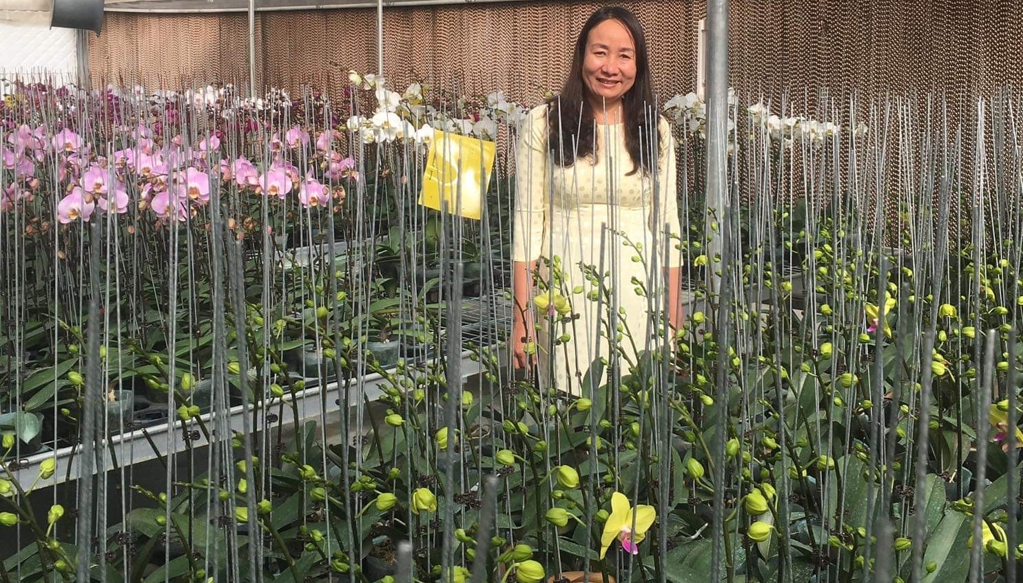 Một kỹ sư của Huế được Tổng Liên đoàn Lao động Việt Nam tuyên dương “75 nghìn sáng kiến vượt khó”