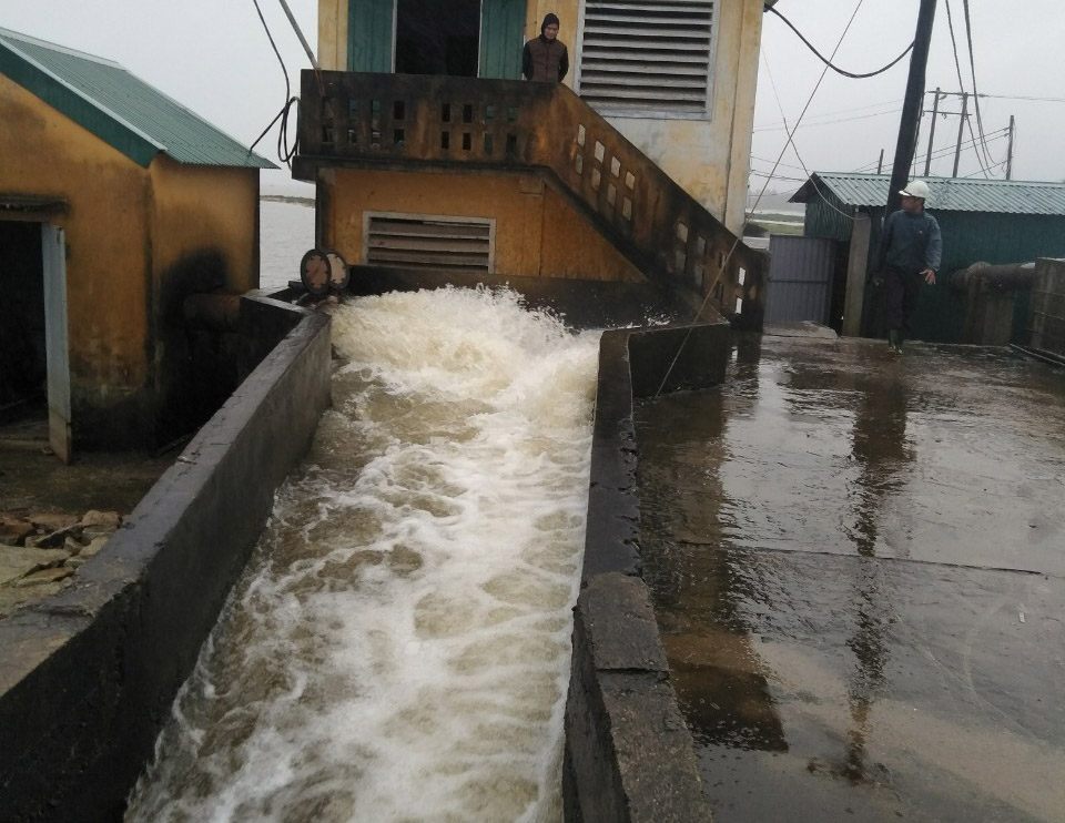 Tích cực đấu úng, hạn chế nguy cơ trễ vụ đông xuân