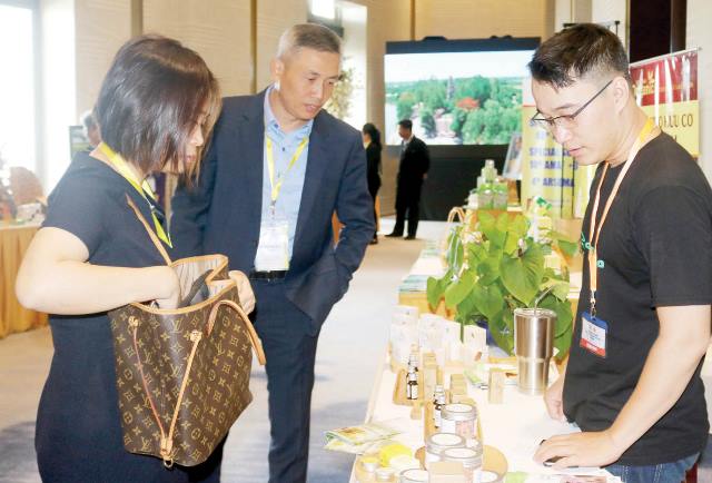 Chuyển đổi số, doanh nghiệp không đơn độc