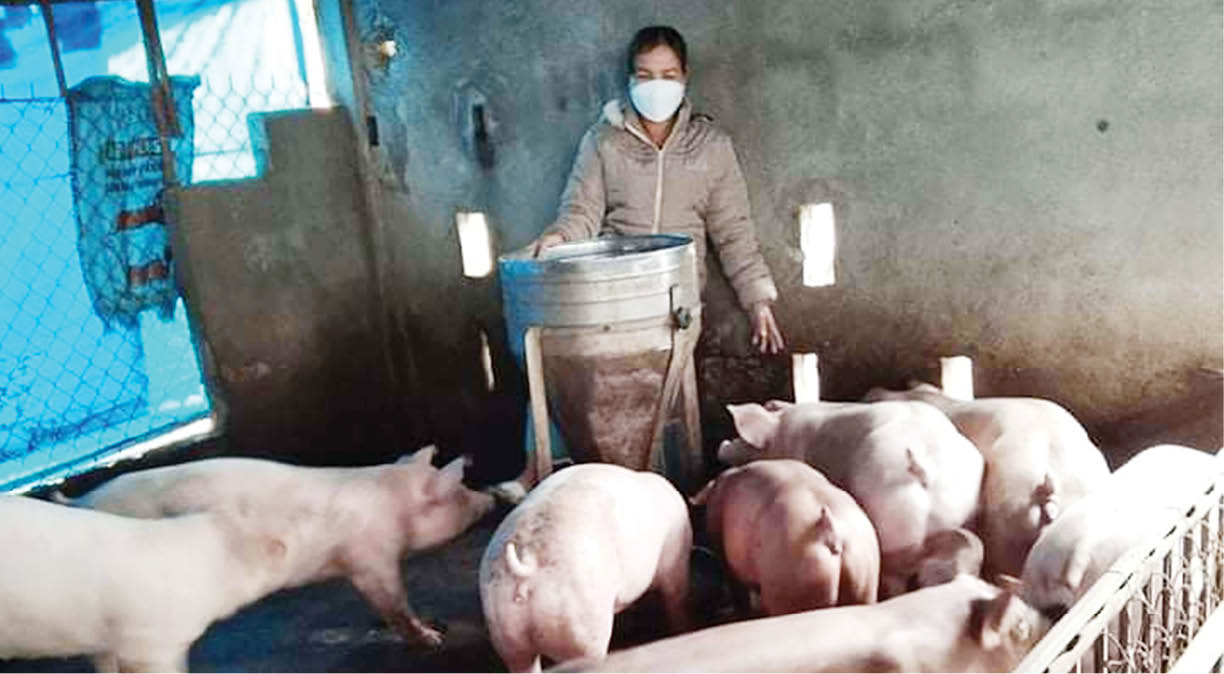 Tay trắng làm nên mô hình trang trại