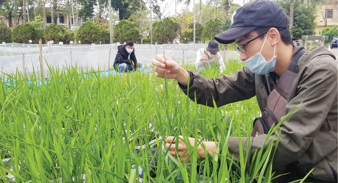 Linh hoạt thích ứng, tận dụng cơ hội