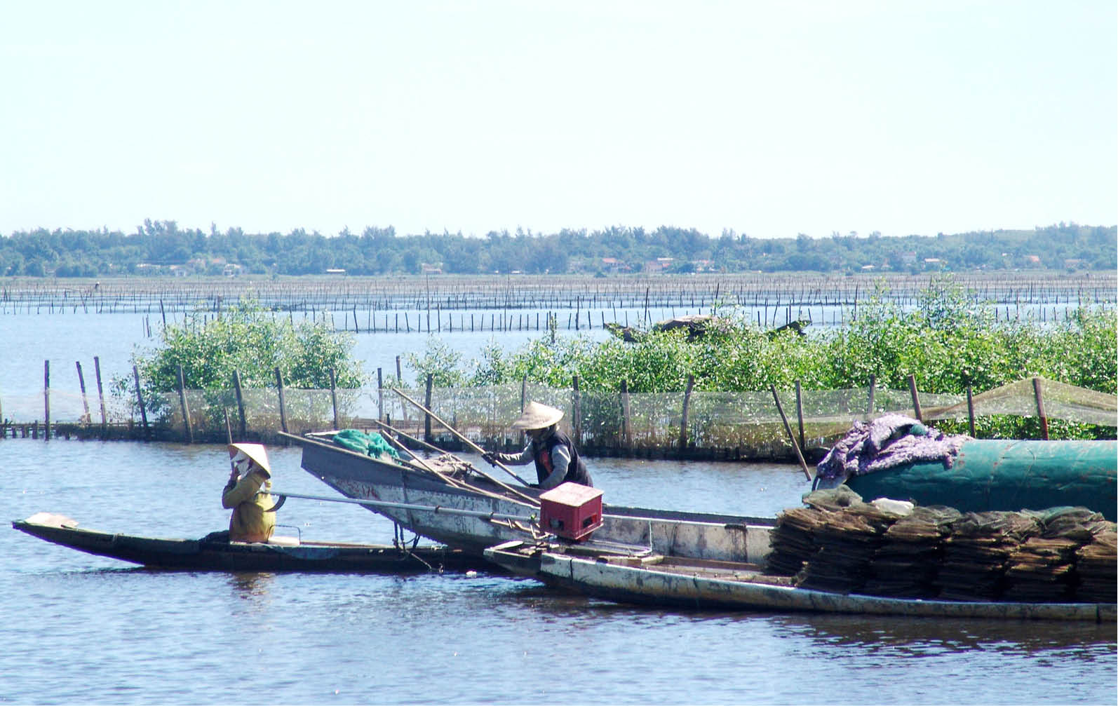 Tái diễn nạn khai thác hủy diệt thủy sản