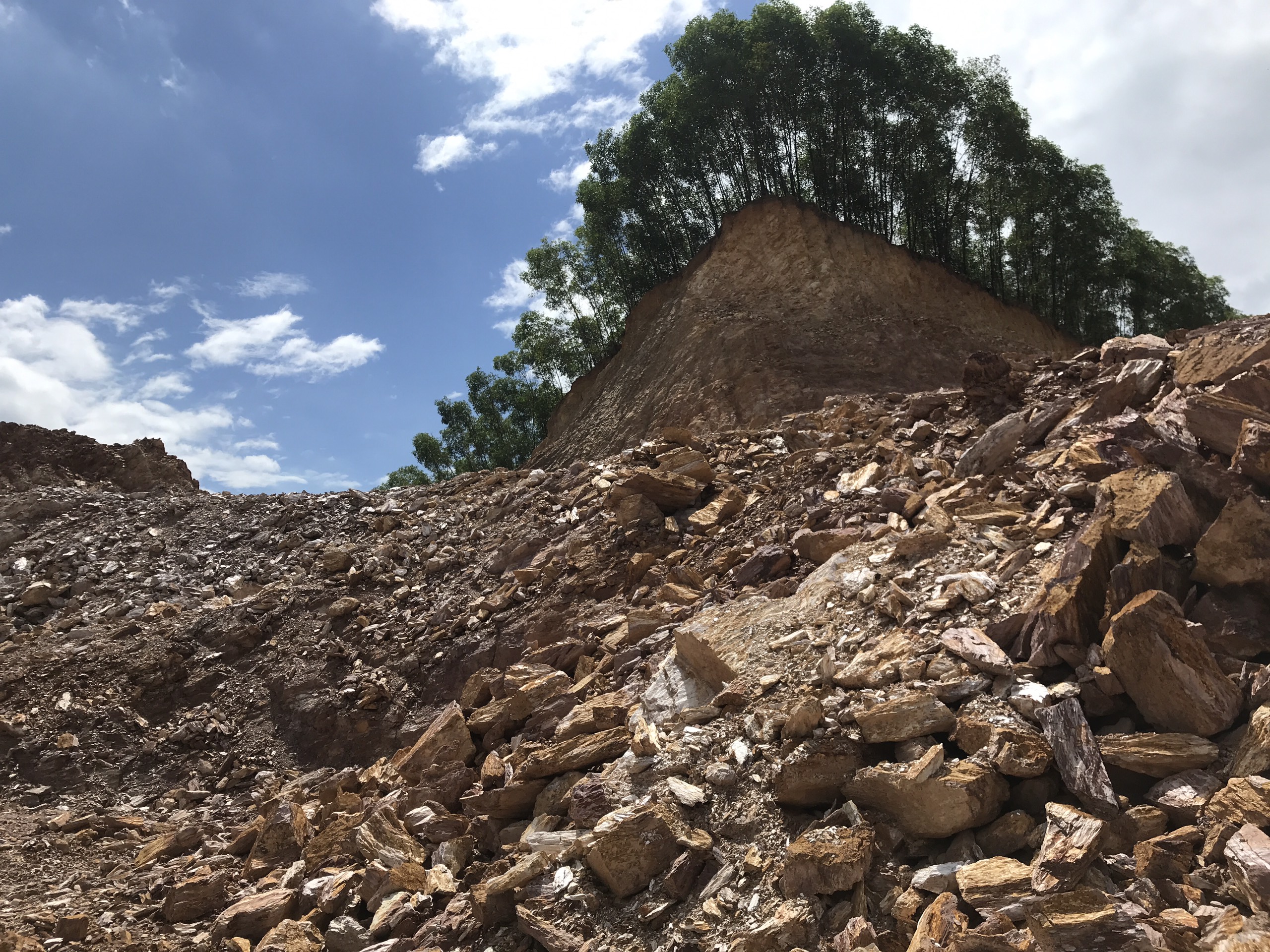 Một doanh nghiệp bị phạt 80 triệu đồng vì chiếm đất rừng sản xuất