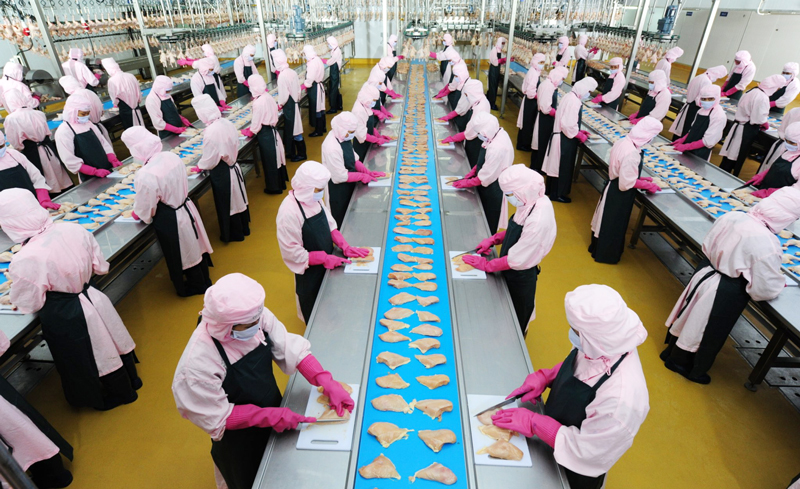 Xuất khẩu sản phẩm chăn nuôi Cơ hội nâng cao giá trị, chất lượng