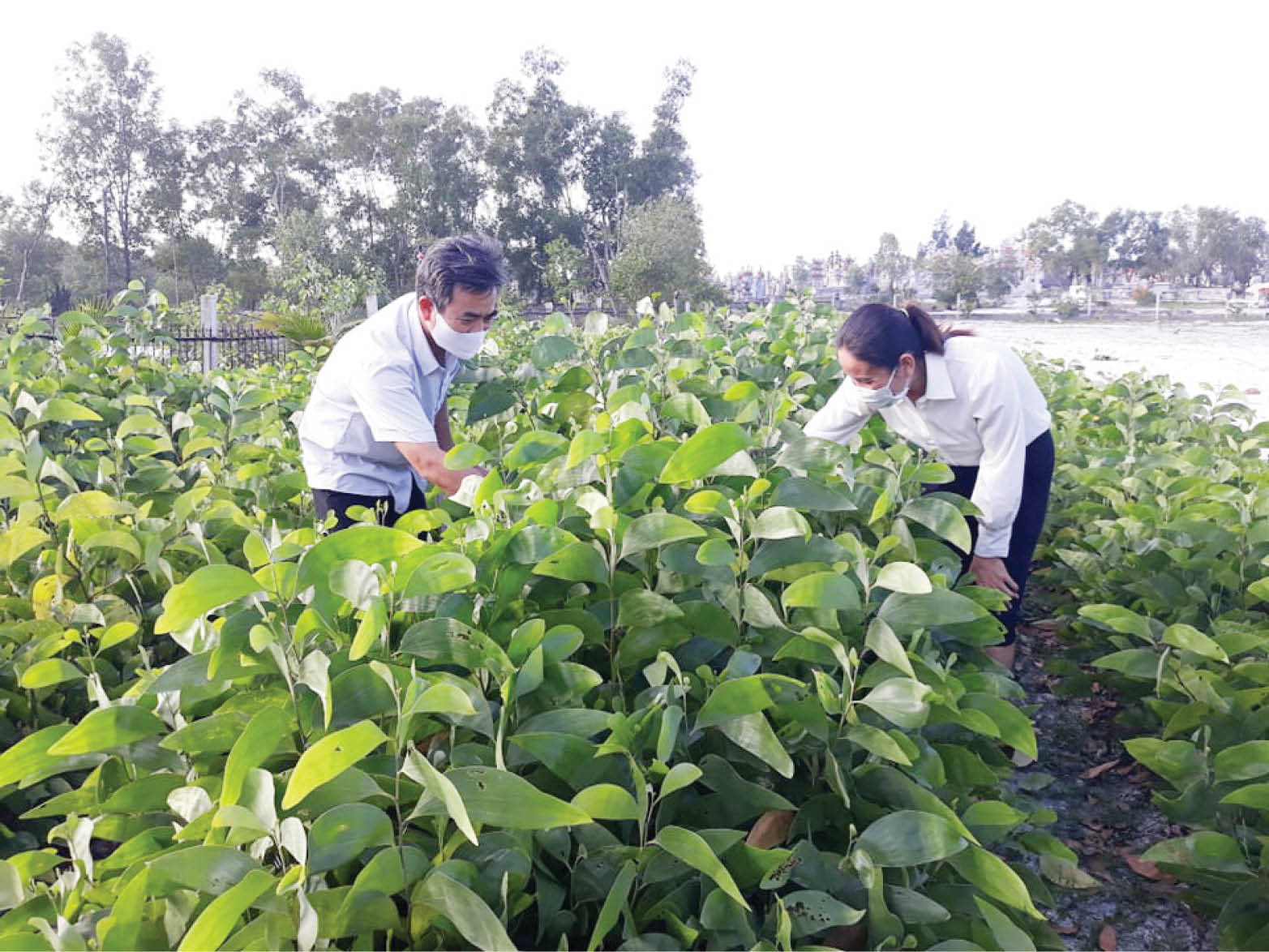 Vừa phát triển kinh tế, vừa giúp cộng đồng
