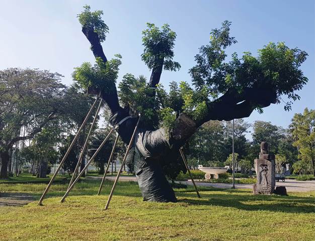 Cây xanh cho thành phố di sản