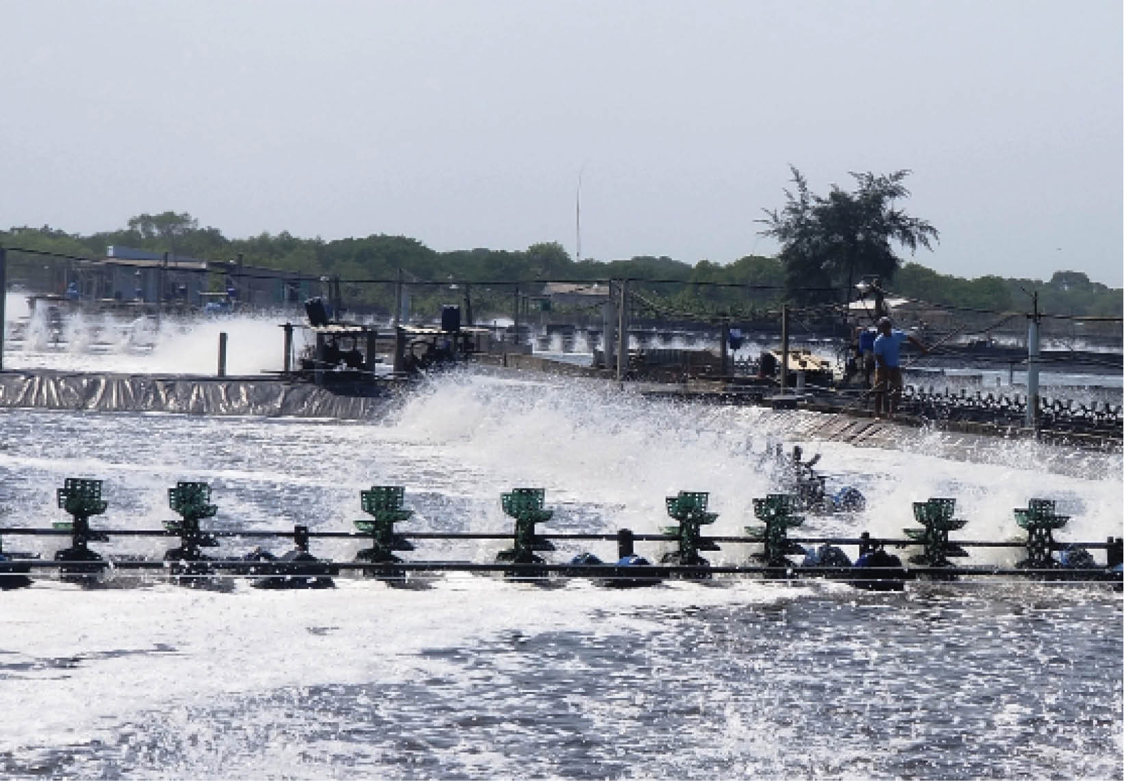 Giữ nghề, nghề sẽ không phụ