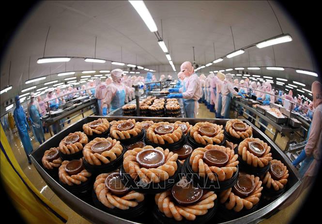 Cơ sở để kinh tế Việt Nam phục hồi, phát triển trong năm 2022