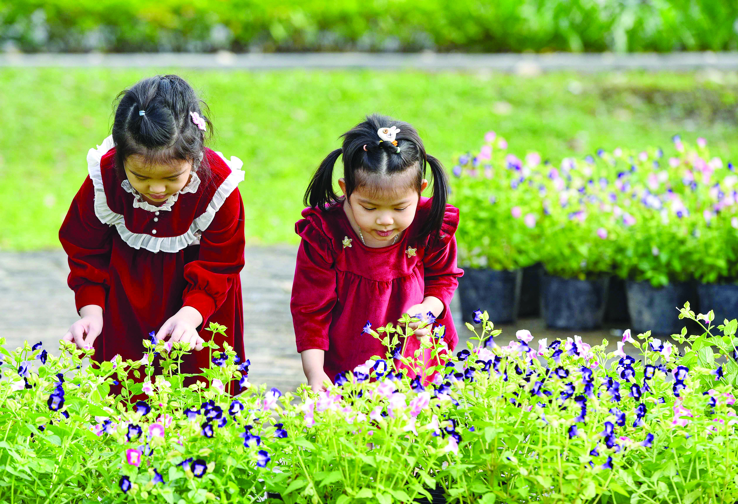 Làm đẹp phố phường đón tết