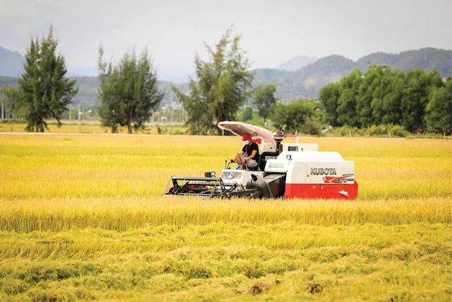 Ứng dụng công nghệ vào sản xuất nông nghiệp