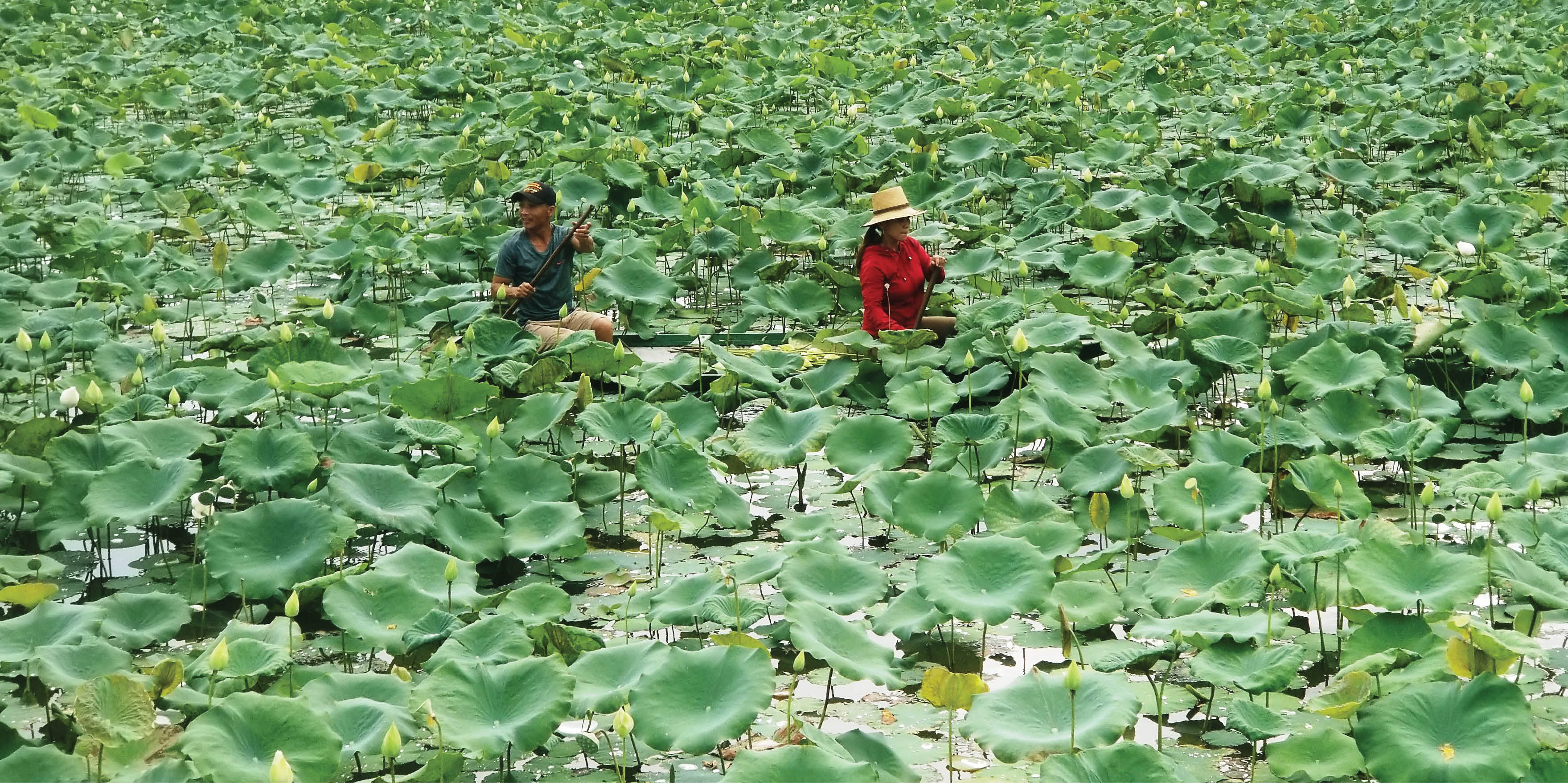 Đầm xanh