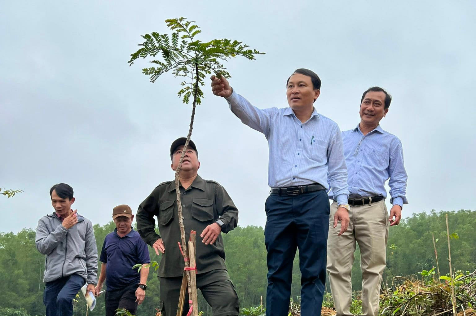 Kiểm tra mô hình “Phục hồi rừng bằng cây bản địa đa loài”