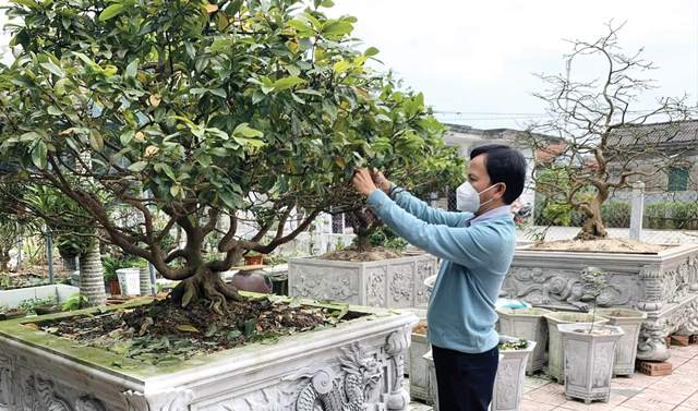 Thế rồng ở làng mai Thế Chí Tây