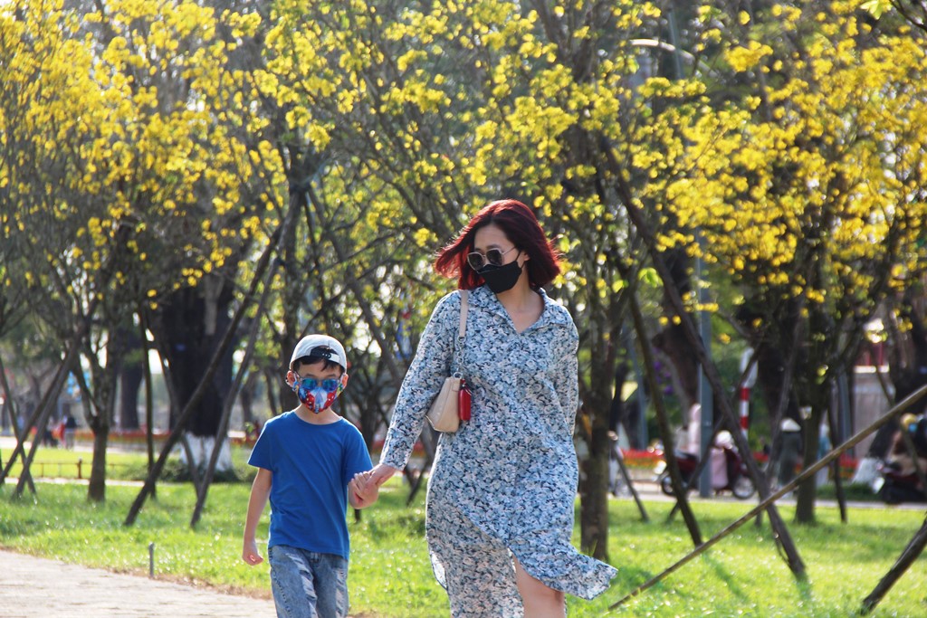 Dừng chân bên đường hoàng mai