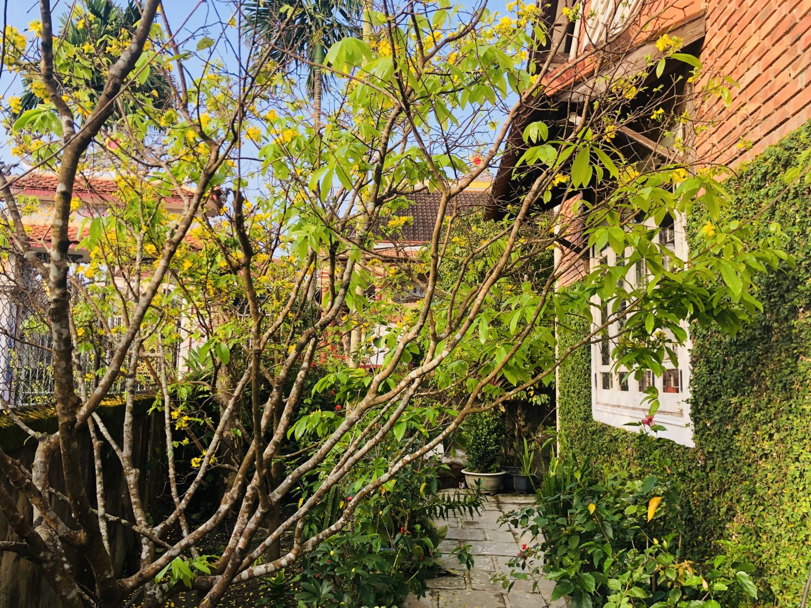 Our house has flowers