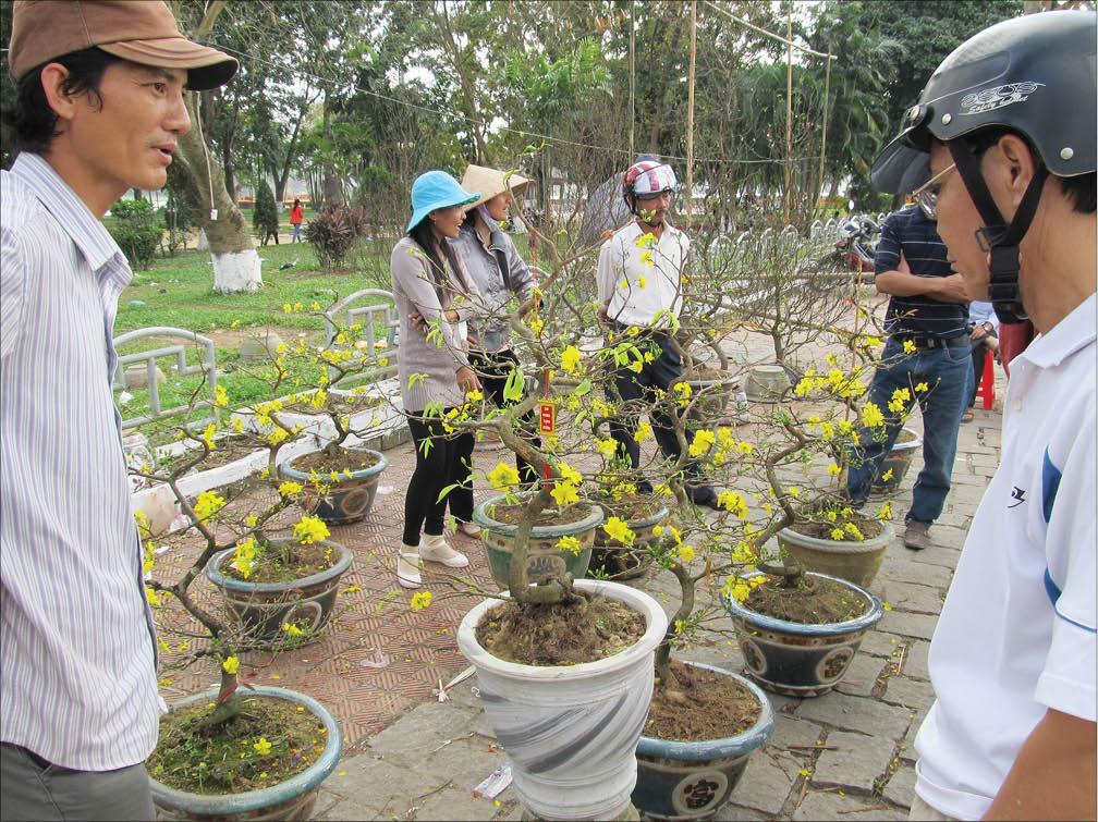 Tết xưa trong tôi…