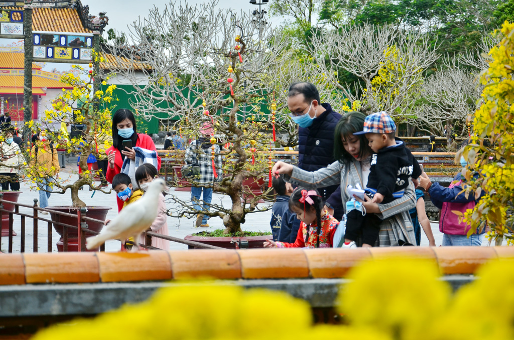 Hue welcomes tourists coming for their spring trips