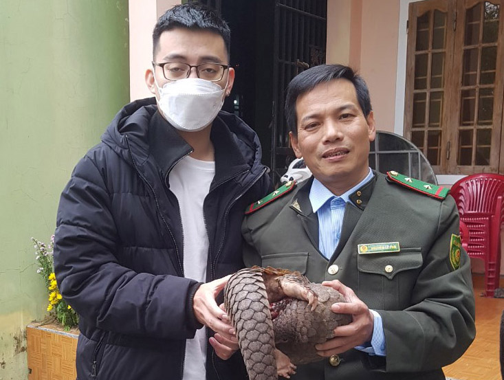 Tiếp nhận cá thể tê tê quý hiếm