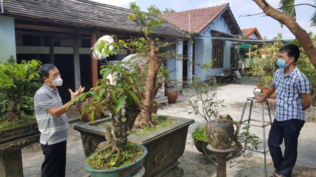 Miền xanh Vinh Mỹ