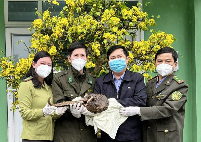 Bàn giao cá thể tê tê cho Vườn Quốc gia Cúc Phương