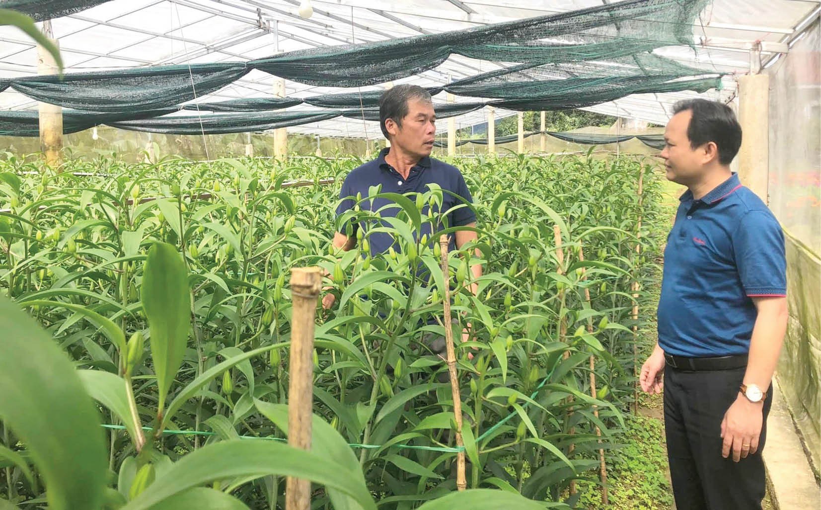 Bù lại những điều chưa làm được trong năm đã qua