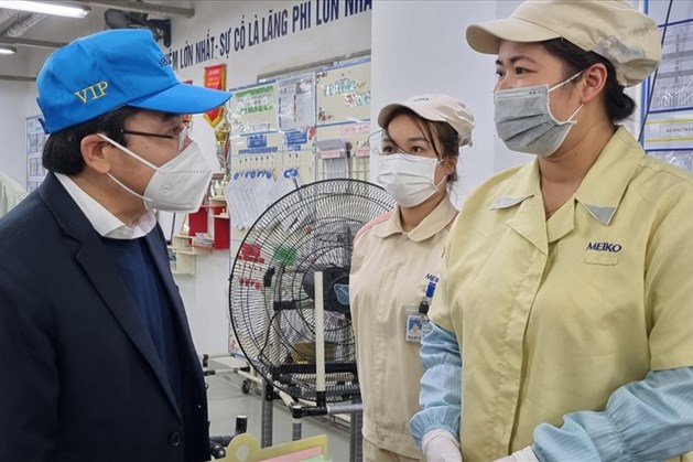 Thị trường lao động phục hồi cơ bản