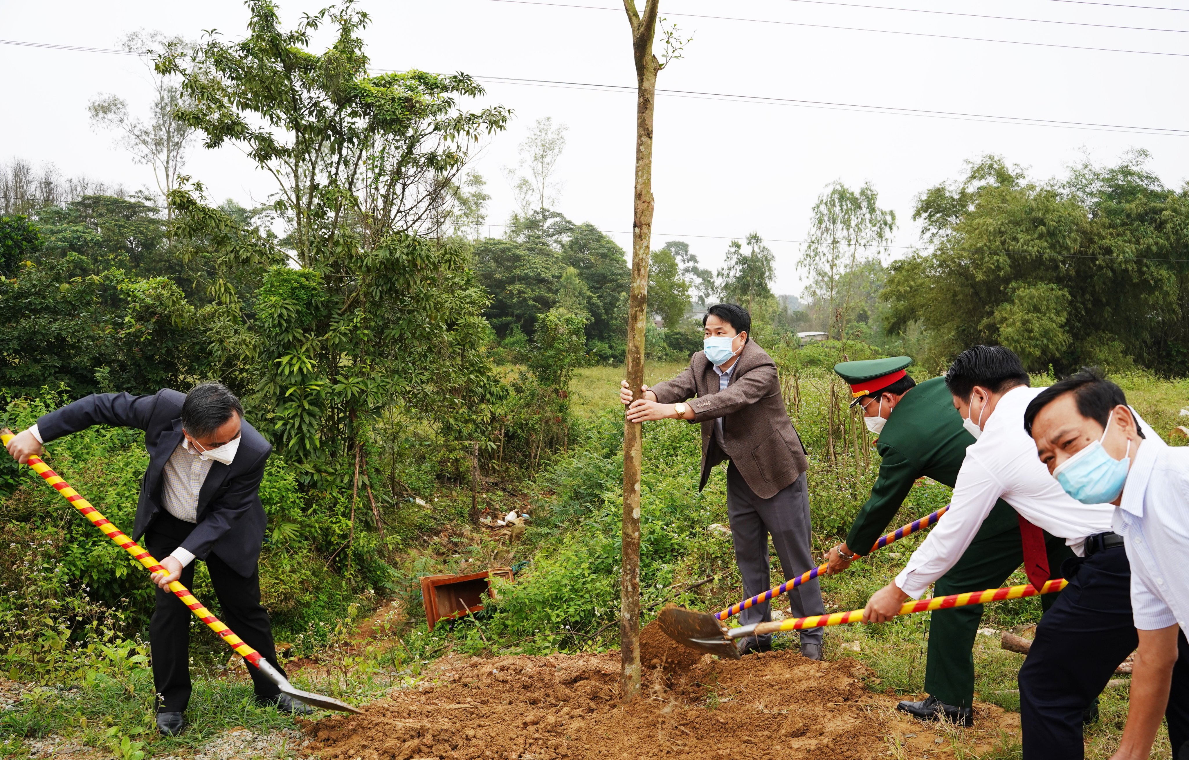 Phát động Tết trồng cây “Đời đời nhớ ơn Bác Hồ”