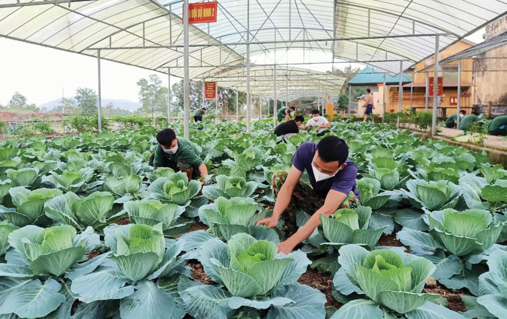 Sẵn sàng đón tân binh