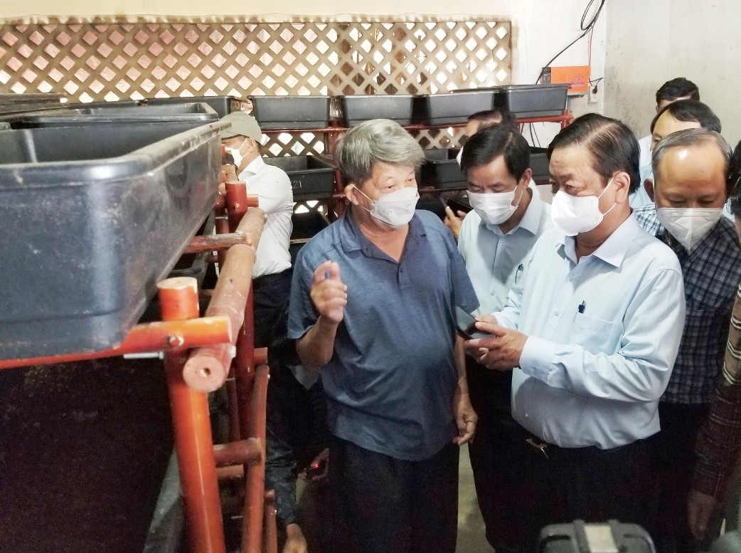 Cơ cấu lại ngành nông nghiệp theo hướng toàn diện