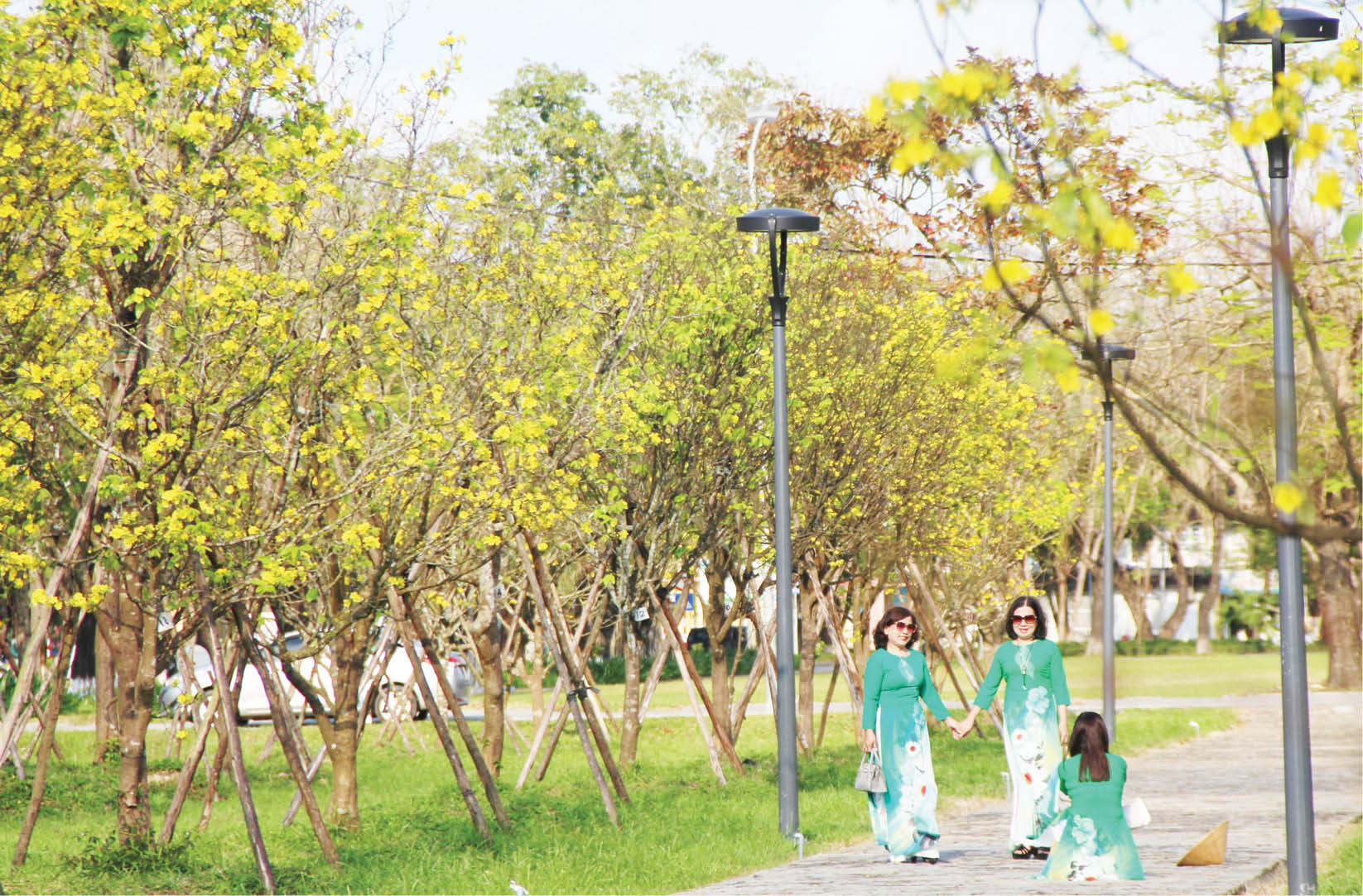 Không gian cho hoàng mai