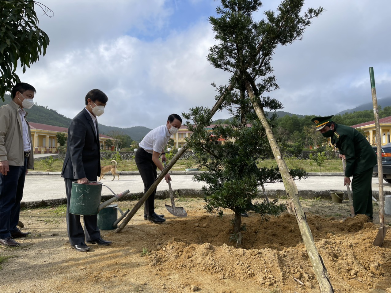 Trồng 550 cây xanh dọc tuyến đường vào lăng Gia Long