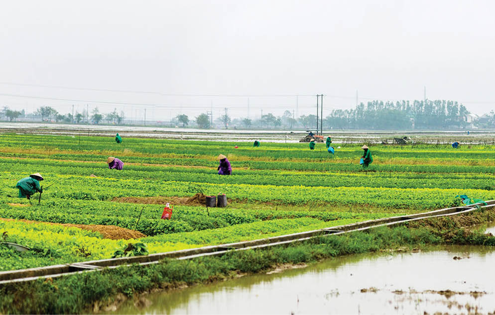 Tập trung nguồn lực cho thành phố mở rộng