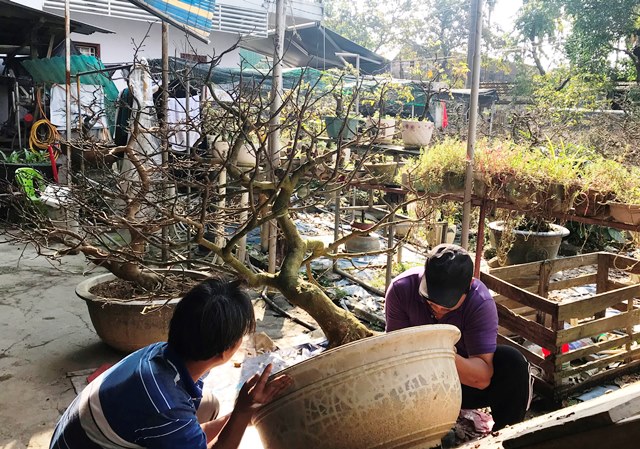 Chi tiền triệu gửi hoàng mai sau tết